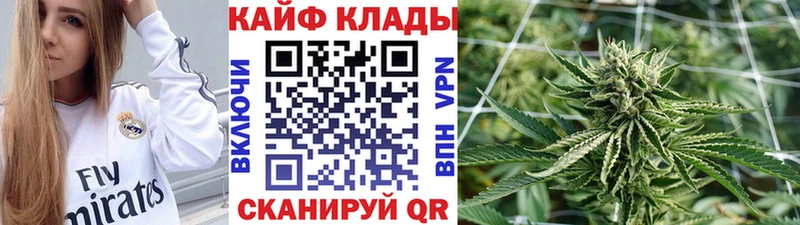 Магазин наркотиков Циолковский Конопля  Псилоцибиновые грибы  ГАШИШ  Меф мяу мяу  Альфа ПВП  АМФЕТАМИН 