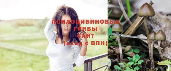 спиды Армянск