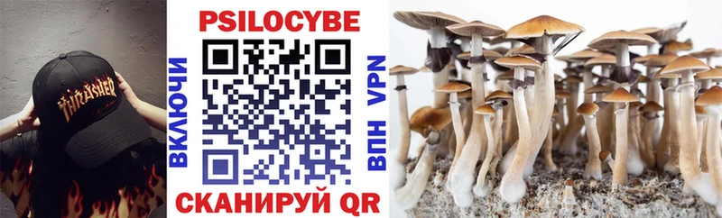 где купить   Циолковский  Псилоцибиновые грибы прущие грибы 